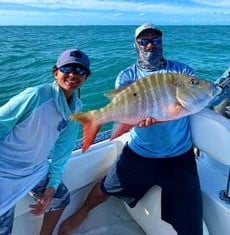 Mangrove Snapper Fishing in Tavernier, Florida