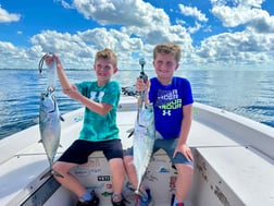 Kingfish Fishing in Sarasota, Florida