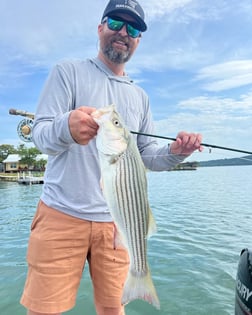 Striped Bass Fishing in Graford, Texas