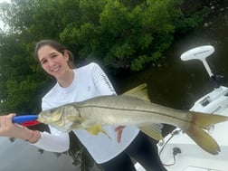 Fishing in St. Petersburg, Florida