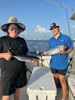 False Albacore Fishing in Pompano Beach, Florida