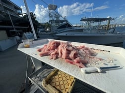 Fishing in Key West, Florida