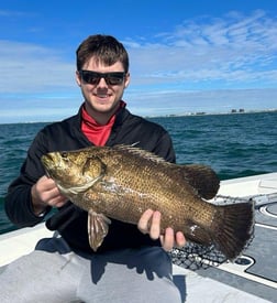 Kingfish Fishing in St. Petersburg, Florida