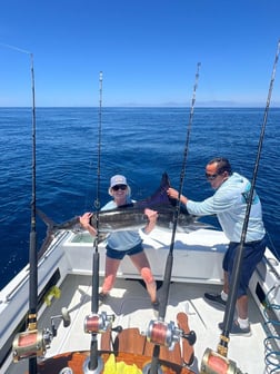 Fishing in Cabo San Lucas, Mexico