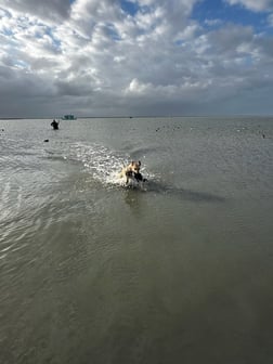 Fishing in South Padre Island, Texas