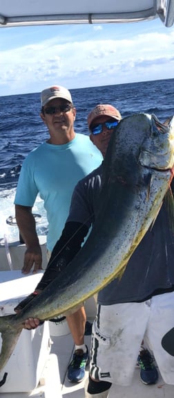 Gag Grouper Fishing in Clearwater, Florida