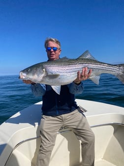 Hybrid Striped Bass Fishing in Nantucket, Massachusetts