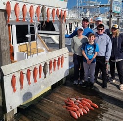 Amberjack, Vermillion Snapper Fishing in Destin, Florida