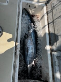 Fishing in Hampton Bays, New York