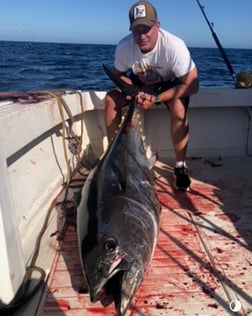 Halibut Fishing in San Diego, California