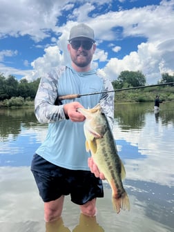 Largemouth Bass fishing in Graford, Texas