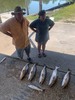 Fishing in Gulf Shores, Alabama