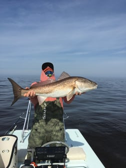 Redfish Fishing in Apalachicola, Florida