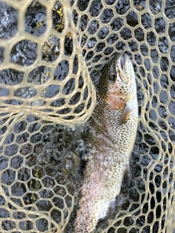 Fishing in Broken Bow, Oklahoma