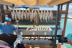 Black Drum, Speckled Trout / Spotted Seatrout fishing in Port Isabel, Texas