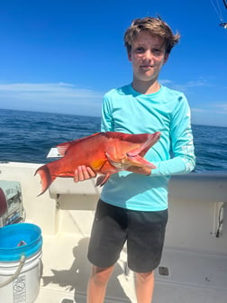 Hogfish Fishing in Madeira Beach, Florida