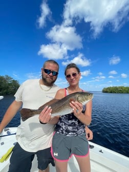 Fishing in Tampa, Florida