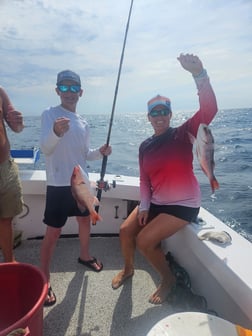 Red Snapper Fishing in Orange Beach, Alabama