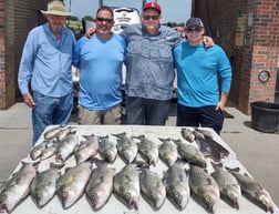 Hybrid Striped Bass, Striped Bass fishing in Runaway Bay, Texas