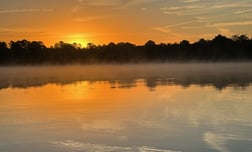 Largemouth Bass Fishing in Austin, Texas