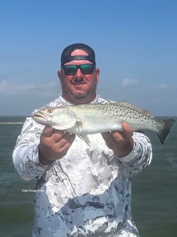 Speckled Trout Fishing in Corpus Christi, Texas