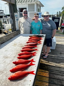 False Albacore, Mangrove Snapper, Perch Fishing in Niceville, Florida