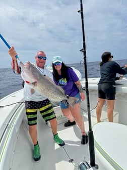 Fishing in Madeira Beach, Florida