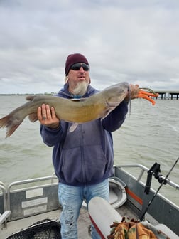 Channel Catfish Fishing in Port Clinton, Ohio