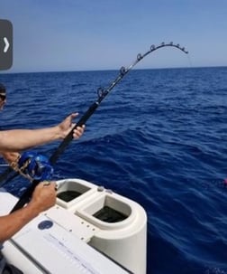 Fishing in San Diego, California