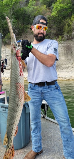 Alligator Gar Fishing in Waco, Texas