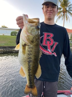 Peacock Bass Fishing in West Palm Beach, Florida