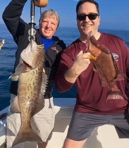 Hogfish, Scup / Porgy Fishing in Clearwater, Florida