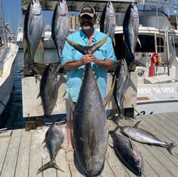 Yellowfin Tuna Fishing in Destin, Florida