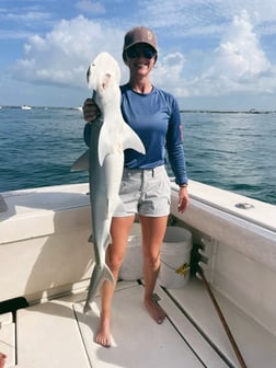 Mangrove Snapper Fishing in Galveston, Texas