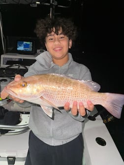 Fishing in Miami, Florida