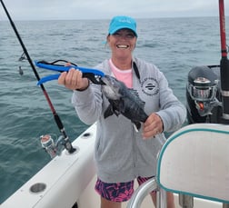 Black Seabass Fishing in Steinhatchee, Florida