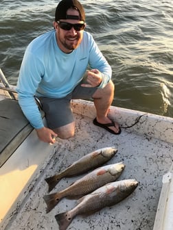 Black Drum, Flounder Fishing in Rockport, Texas