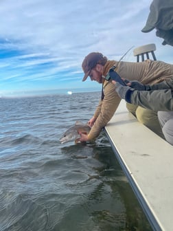 Redfish Fishing in Aransas Pass, Texas