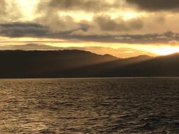 Fishing in Puerto Jiménez, Puntarenas Province