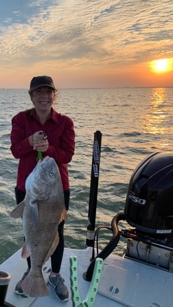 Black Drum Fishing in Galveston, Texas