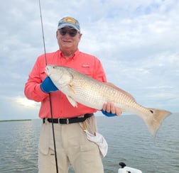 Redfish fishing in Venice, Louisiana