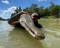 Alligator Gar fishing in Dallas, Texas