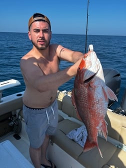 False Albacore, Lane Snapper, Vermillion Snapper Fishing in Niceville, Florida