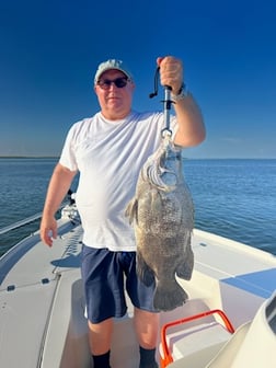 Redfish Fishing in Buras, Louisiana