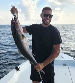 Jack Crevalle, Mangrove Snapper, Spanish Mackerel fishing in Pensacola, Florida