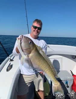 Tilefish, Yellowfin Tuna Fishing in Jupiter, Florida