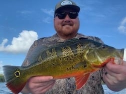 Peacock Bass Fishing in Palmetto Bay, Florida