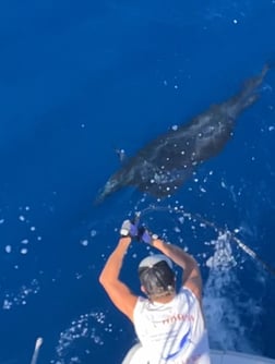 Fishing in Islamorada, Florida