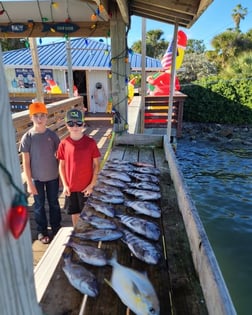 Florida Pompano, Sheepshead Fishing in Sarasota, Florida