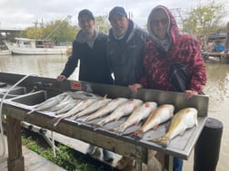 Redfish, Speckled Trout / Spotted Seatrout Fishing in Texas City, Texas